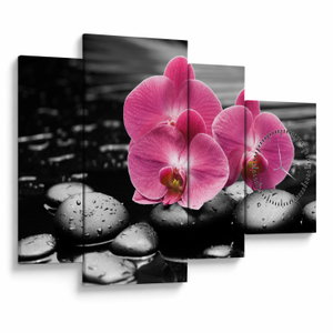 Obraz - Růžové orchideje (s hodinami) (V024680V11075C)