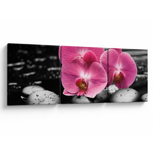 Obraz - Růžové orchideje (V024680V12040)