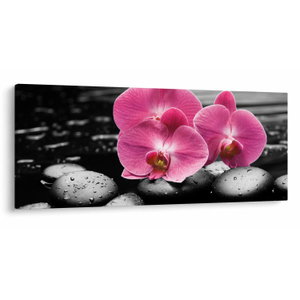 Obraz - Růžové orchideje (V024680V12050)