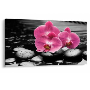 Obraz - Růžové orchideje (V024680V12070)