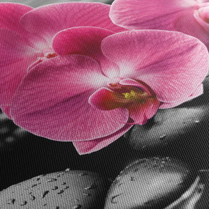 Obraz - Růžové orchideje (5)