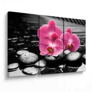 Obraz - Růžové orchideje (V024680V120803PCS)