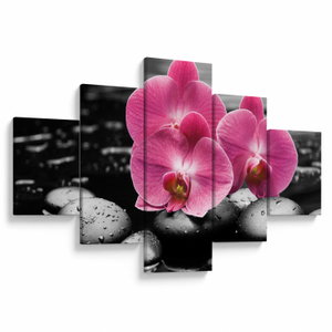 Obraz - Růžové orchideje (V024680V12570)