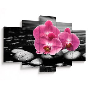 Obraz - Růžové orchideje (V024680V150105)