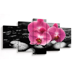 Obraz - Růžové orchideje (V024680V150805PCS)