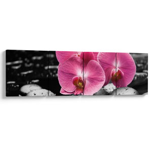 Obraz - Růžové orchideje (V024680V16040)