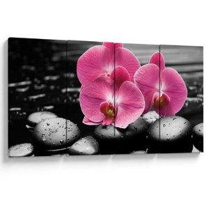Obraz - Růžové orchideje (V024680V16080)