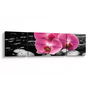Obraz - Růžové orchideje (V024680V17050)