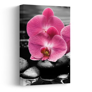 Obraz - Růžové orchideje (V024680V2030)