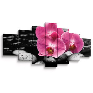 Obraz - Růžové orchideje (V024680V210100)