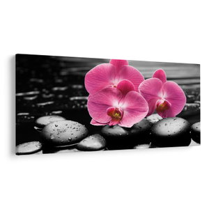 Obraz - Růžové orchideje (V024680V250125)