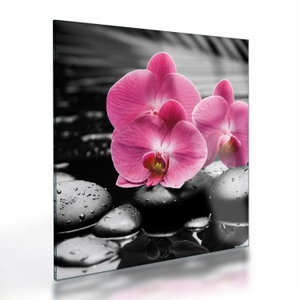 Skleněný obraz - Růžové orchideje (V024680V3030GD)