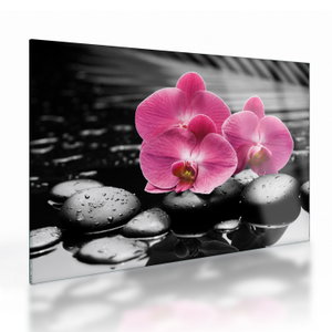 Skleněný obraz - Růžové orchideje (V024680V7050GD)