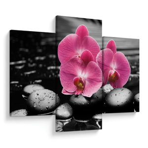 Obraz - Růžové orchideje (V024680V90603PCS)