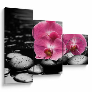 Obraz - Růžové orchideje (s hodinami) (V024680V9070C)