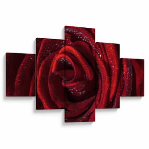 Slika - Crvena ruža s kapljicama rose