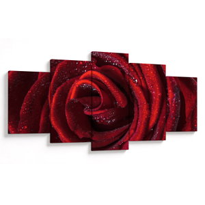 Kép - Vörös rózsa harmatcseppekkel (V024690V150805PCS)