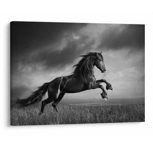 Schilderij - Zwart en wit paard