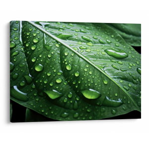 Schilderij - Detail van blad na regen