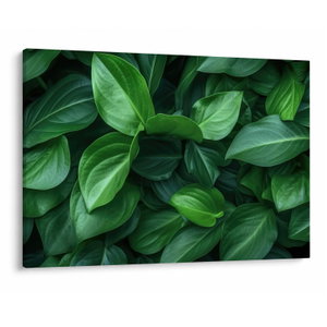 Schilderij - Groene bladeren