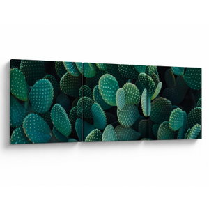 Kép - Opuntia