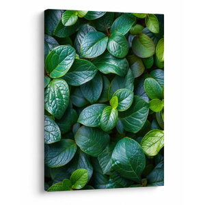 Schilderij - Groene planten