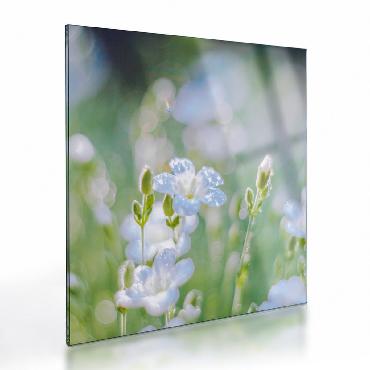 Glasbild