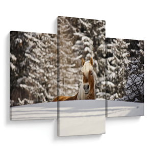 Schilderij - Paard in winterlandschap