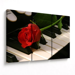 Kép - Zongora és rózsák (V025113V120803PCS)