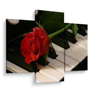 Kép - Zongora és rózsák (V025113V90603PCS)