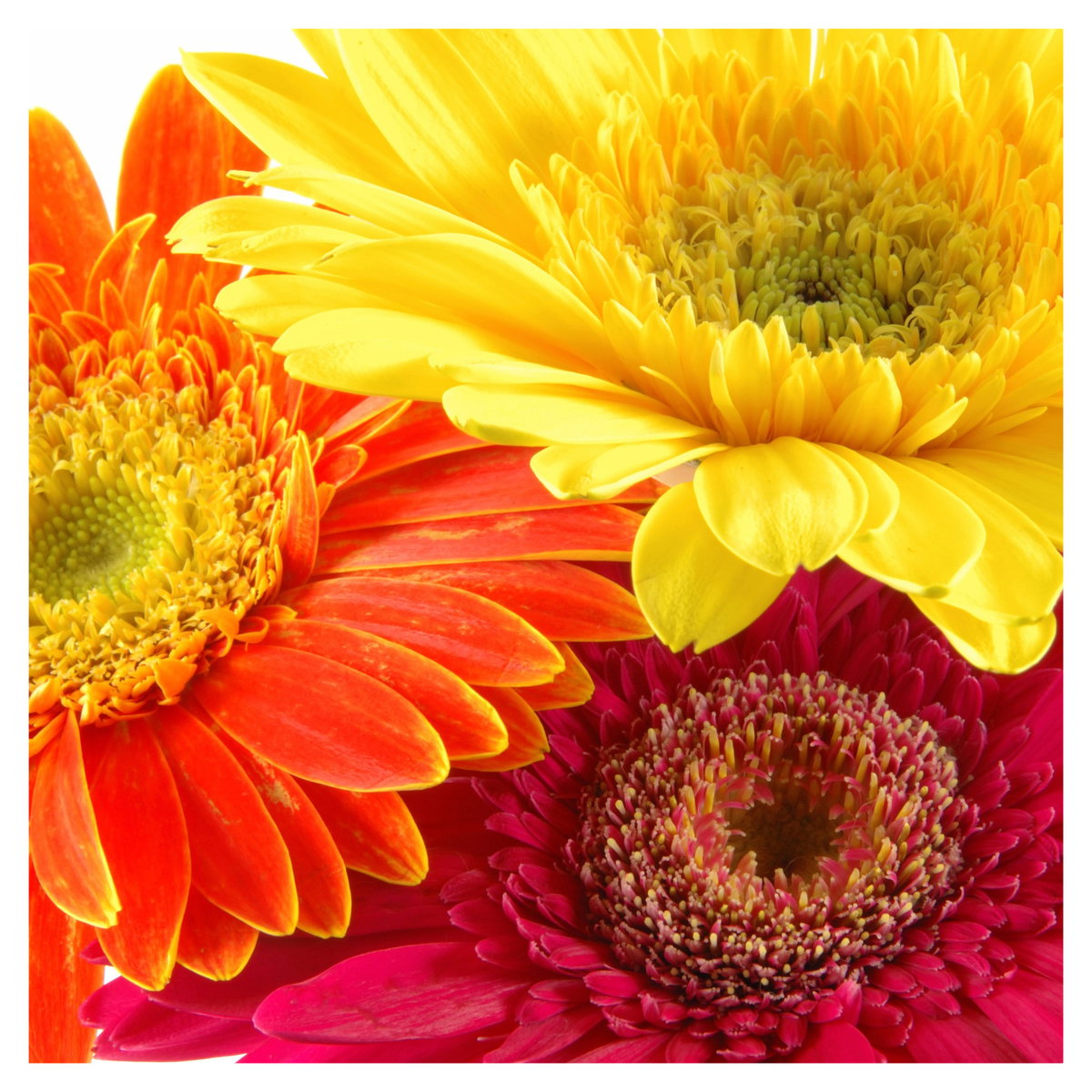 Glasbild