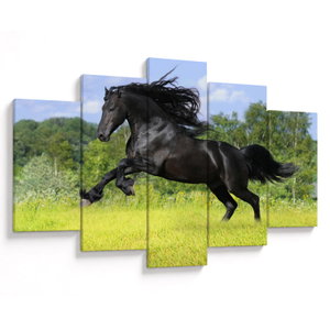 Schilderij - Paard met vloeiende manen