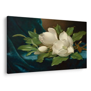 Obraz - Martin Johnson Heade, Giant Magnolias on a Blue Velvet Cloth, reprodukce