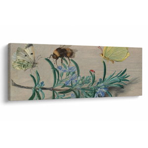 Obraz - Jan van Kessel the Elder, Insects and a Sprig of Rosemary, reprodukce