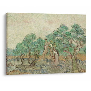 Tablou - Vincent van Gogh, The Olive Orchard, reproducere