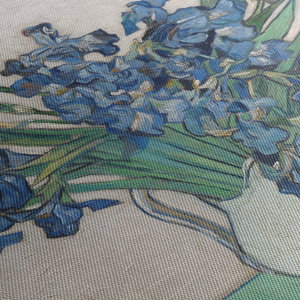 Obraz - Vincent van Gogh, Irises, reprodukce (5)