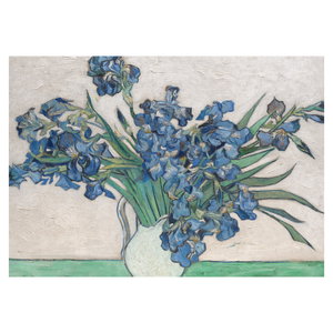 Obraz - Vincent van Gogh, Irises, reprodukce (6)