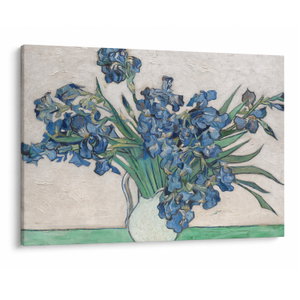 Obraz - Vincent van Gogh, Irises, reprodukce