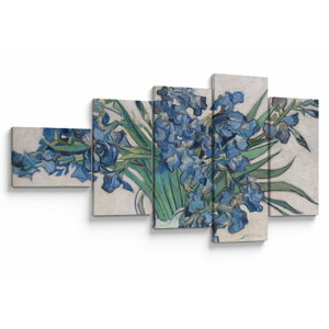 Obraz - Vincent van Gogh, Irises, reprodukce (V025329V11060)