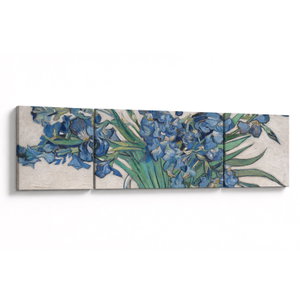 Obraz - Vincent van Gogh, Irises, reprodukce (V025329V17050)
