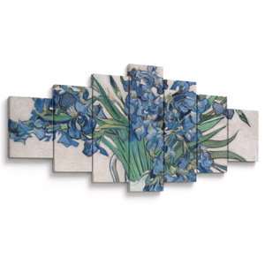 Obraz - Vincent van Gogh, Irises, reprodukce (V025329V210100)