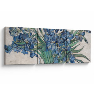 Obraz - Vincent van Gogh, Irises, reprodukce (V025329V9030)