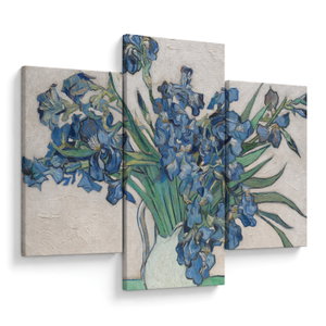 Obraz - Vincent van Gogh, Irises, reprodukce (V025329V90603PCS)