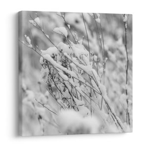 Schilderij - Besneeuwde takken
