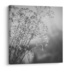 Schilderij - Weide na de regen