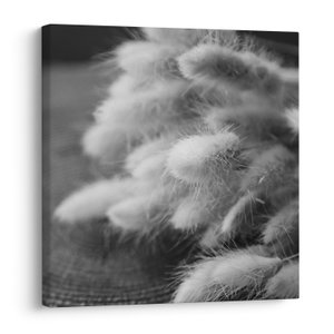 Schilderij - konijnenstaartgras op tafel