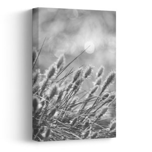 Schilderij - Beige zacht gras N⁰1