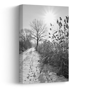 Schilderij - Velden in de winter