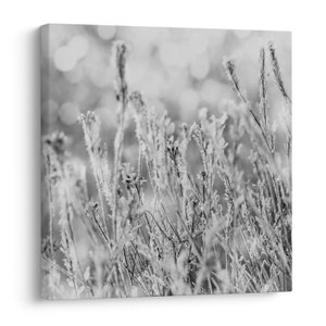 Schilderij - Koude winter