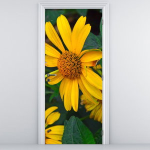 Fototapeta na dvere - Žlté kvety